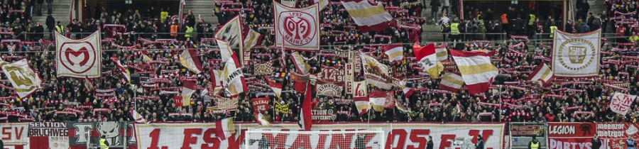 21. Spieltag: 1.FSV Mainz 05 – SV Bayer 04 Leverkusen